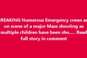 Stockton, California, A Childs Birthday Party Turns Into Chaos!