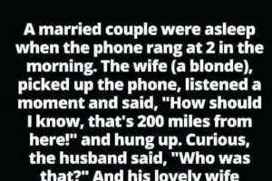 “Midnight Call Confusion That Will Leave You in Stitches!”