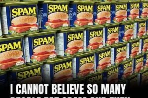 SPAM: What does it stand for, and what are its ingredients?