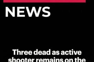 Police Launch Investigation Following Tragic Event in Lake Cargelligo