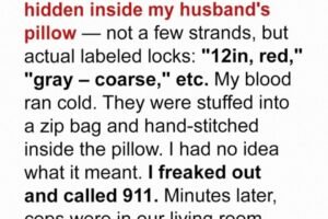 While cleaning the couch, I found something hidden deep in the cushions — a secret my husband never meant for me to see.