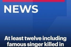 Twelve dead including famous singer in plane crash off remote island