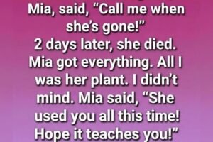 Hidden Beneath the Jade Plant — A Story of Gentle Love, Wrong Assumptions, and an Unforeseen Inheritance.