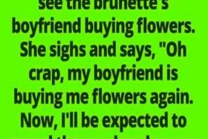 Boyfriend Brings Flowers Again—But the Blonde’s Comeback Leaves Everyone Speechless