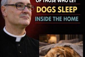 A priest revealed what happens in homes where dogs sleep inside.