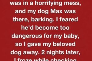 MY DOG WASN’T THE THREAT—HE WAS THE HERO I NEVER UNDERSTOOD