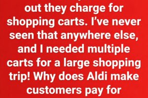 Why Aldi Uses a Coin Deposit for Its Shopping Carts