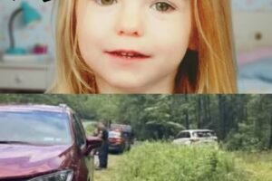 Missing girl found in the woods