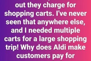 The Simple Reason Aldi Uses a Coin Deposit for Shopping Carts