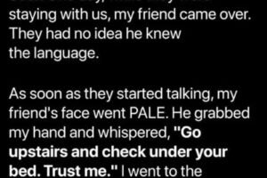 I Invited My Friend Over, and His French Skills Uncovered a Shocking Family Secret