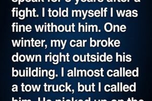 💔 I Hadn’t Spoken to My Brother in 3 Years — Then One Night Changed Everything