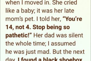 I sold my stepdaughter’s dog for quick cash. 24 hours later, the “truth” behind that dog’s past destroyed everything I thought I knew.