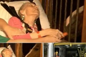 A Final Wish Fulfilled: The Emotional Reunion Between a Hospice Patient and Her Beloved Horse