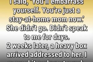 I called my wife “just a homemaker” for 10 years. Then a mysterious box arrived at our door, revealing the 0,000 secret she’d been hiding from me.