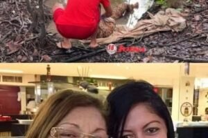 Mother and daughter disappear after trying to cross river only her leg was found – See more!