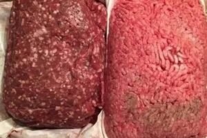 Don’t Get Fooled by the Supermarkets: The Hidden Truth About Where Your Meat Really Comes From—and Why Choosing Genuine Farm-Raised Beef Can Transform Your Health, Support Local Farmers, and Protect the Environment From the Illusion of ‘Freshness’ on Store Shelves