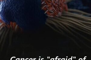 Cancer is “afraid” of these 8 foods