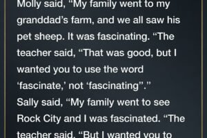 The Day “Fascinate” Became The Most Dangerous Word In Class…