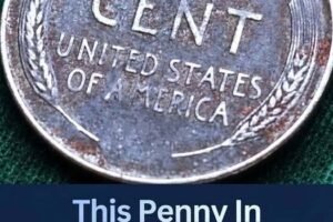 Check Your Change: The Fascinating World of Rare Pennies and Coin Collecting