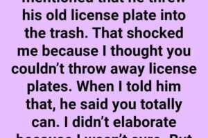 The Reason Why You Shouldn’t Toss Your Old License Plates