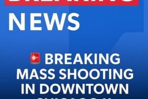 Public Safety Incident in Downtown Chicago: What Happened and How the Community Responded