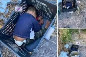 This approximately 2-year-old boy was found… See more