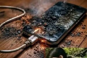 NEVER LEAVE A CHARGER IN AN OUTLET WITHOUT YOUR PHONE: I’LL REVEAL THE 3 MAIN REASONS