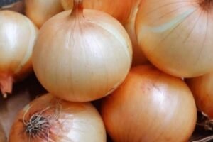 Doctors reveal that eating onion causes … See more