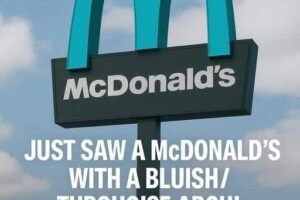 FORBIDDEN MCDONALDS ARCHES Why One Secret Arizona Location Swapped Gold For Turquoise