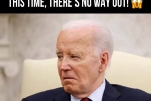 Journalists Reveal How Far Media Went To Cover For Joe, Hunter Biden