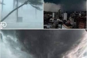 Severe Storm Brings Dangerous Conditions to Region B as Authorities Urge Caution