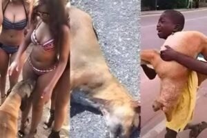 Why Your Dog Is Obsessed With Sniffing Your Private Parts! The Hidden Science Behind This Embarrassing Habit