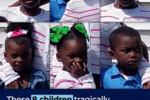 Shamar Elkins’ Recent Posts and Messages Draw Attention Online as New Details Emerge — Photos