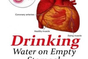 Does drinking water first thing in the morning…