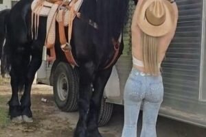 My husband asked for a divorce right after receiving this photo from me! Can you believe it?