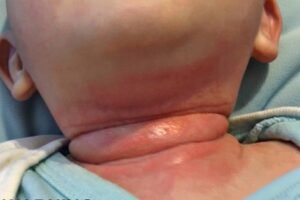 These are the signs that he is cr… See more