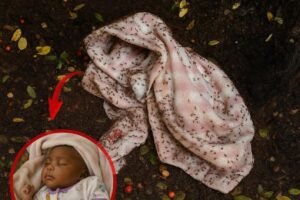 Newborn abandoned and full of… See more