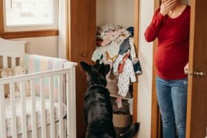 My dog ​​suddenly started barking at my pregnant wife and even rushed towards her, and then began throwing things out of the closet: we were sh0cked to learn the reason for such strange behavior of the dog