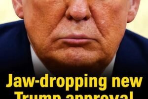 Confidence In Trump Collapses Fast
