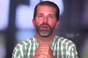 20 Minutes ago in New York, Donald Trump Jr. was confirmed as…See more