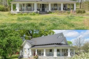 Early 1900s 4-Bedroom Home on 9 Acres with Fruit Trees & Barn – 9,900