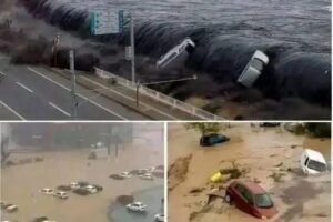 This Historic Earthquake And Tsunami: A Nation’s Resilience Tested