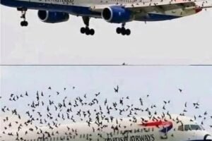 Why One Pilot Became Emotional After Bringing Everyone Home Safely