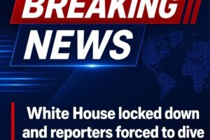 White House locked down and reporters forced to dive for cover as gunfire erupts