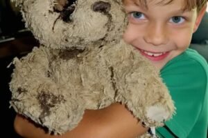 My Son Found a One-Eyed Teddy Bear in the Dirt