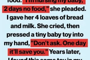 A Hungry Mother Gave Me an Old Baby Toy—Years Later, It Saved My Life