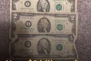 Your  bill may be worth a lot more than you think