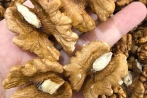 Doctors Reveal That Eating Walnuts Causes Astonishing Improvements in Brain Health, Memory, and Heart Function — But They Warn That Too Much Can Have the Opposite Effect. Here’s Why Nutrition Experts Now Call This Simple Snack “Nature’s Smartest Superfood”