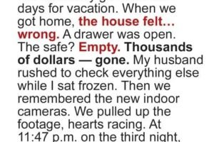 Our House Was Robbed While We Were on Vacation — The Security Footage Broke My Heart