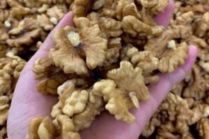 Doctors reveal that eating walnuts causes – Welcome